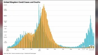 In-Depth: Proof that vaccines prevent COVID deaths