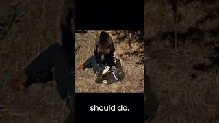 how to survive a bear encounter