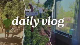 Daily Life Vlog #8/shopping in town at cheese shops and health food stores