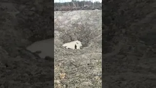 ⚡️❗️Кратер от воронки после падения снаряда РФ  Просто посмотрите на эти размеры...