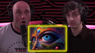 Joe Rogan: The DMT Experience | Joe Rogan Experience