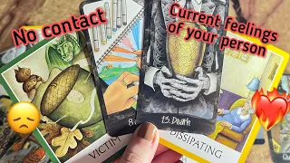 No contact: Current Feeling of your person💞 Hindi tarot card reading | Love tarot