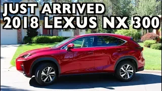 Wow, Just Arrived: 2018 Lexus NX 300 on Everyman Driver