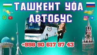 ташкент уфа автобус #ташкент #уфа #автобус #tashkent #ufa #avtobus