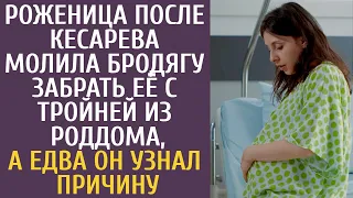 Роженица после кесарева молила бродягу забрать её с тройней из роддома, а едва он узнал причину