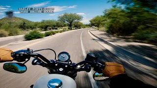 Harley Davidson Forty-Eight 48 Pure Engine Sound