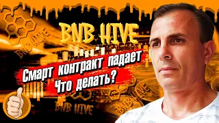 BNB HIVE ПОЧЕМУ НЕ СТОИТ ПАНИКОВАТЬ КОГДА ПАДАЕТ СМАРТ КОНТРАКТ ПРОЕКТ С ЗАРАБОТКОМ 2.1% В СУТКИ