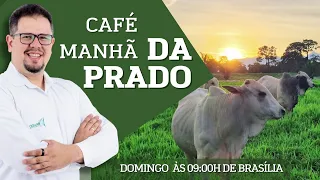 Café da Manhã da Prado AUMENTE seu LUCRO por ARROBA produzida #pecuária