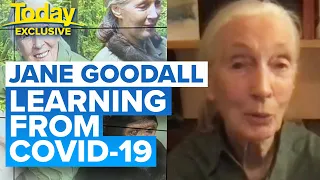 Jane Goodall blames our “disrespect of animals” for coronavirus pandemic | Today Show Australia