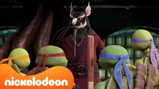 TMNT | Najważniejsze życiowe lekcje Splintera w Wojowniczych Żółwiach Ninja🐀 | 20-minutowa składanka