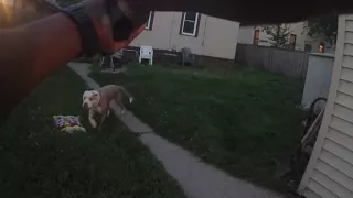 Newly Released Graphic Bodycam Video Shows Cop Shooting Dogs