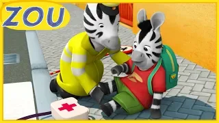 Zou y los primeros auxilios ⛑️ Zou en español 💊 Dibujos animados