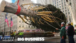 How The 75-Ft. Rockefeller Christmas Tree Makes It To NYC | Big Business