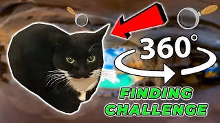 Maxwell The Cat 360° - FIND MAXWELL| VR/360 Video 🔍 🐱🐈‍⬛