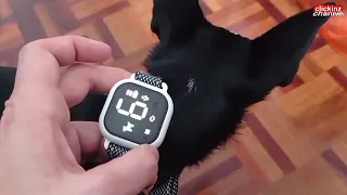 Cómo usar Collar antiladridos automático, Dog Bark Collar con descarga para adiestramiento de perros