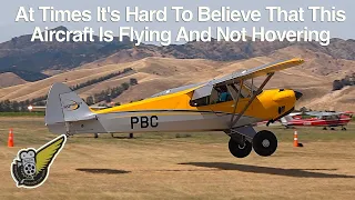 Extreme STOL Landing by Carbon Cub In Windy Conditions