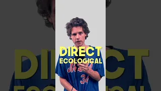 Direct v. Indirect Ecological Action - Reflections on Climate Week NYC 2023