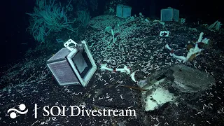 Experiment 2 Collection | SOI Divestream 554