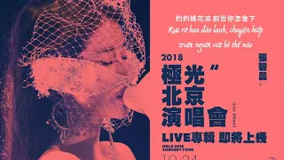 [Vietsub] (Live album 2018北京極光演唱會 ) Lạnh lẽo 凉凉 - Trương Bích Thần 张碧晨