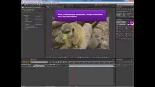 Стабилизация видео в Adobe After Effects. Чтобы картинка не дрожала.