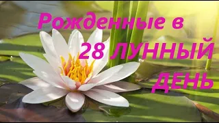 Рожденные в 28 лунный день