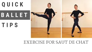 Quick Ballet Tips : Exercise for Saut de Chat (grand jeté developpé)