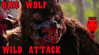 Wild Attack Scene – Horror Hybrid Creature – Werewolf Movie – Dire Wolf