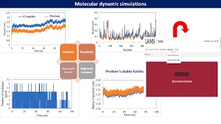 Molecular dynamic simulation for protein & ligand-protein complex: web tool free easy, only click