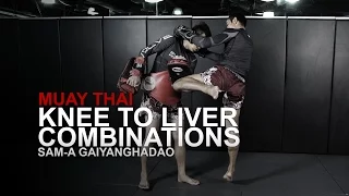 Muay Thai: 3 Liver Knee KO Combinations | Evolve University