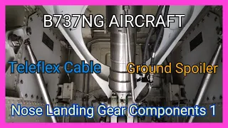 B737 NG Aircraft | Landing Gear (Part04) | Nose NLG Component Location 01 | Doors | Teleflex Cable