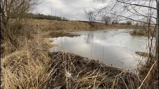 Beaver Dam Removal || Dam stopped a lot of water!