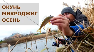 Микроджиг. Осень. Fish Season FARIO NT MORM