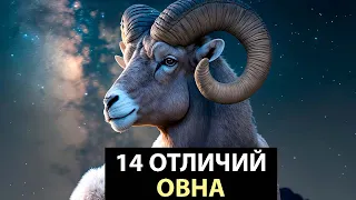 14 Отличий ОВНА от других знаков.