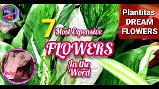 MOST EXPENSIVE FLOWERS IN THE WORLD | TOP 7