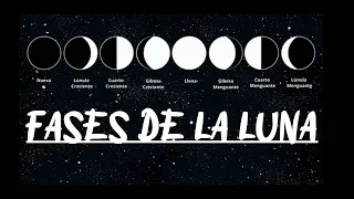 FASES DE LA LUNA