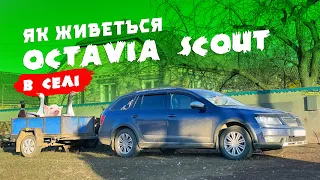 Skoda Octavia A7 "SCOUT" вже 239.000км і нова поломка 😳