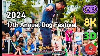 【360° VR】17th Annual San Francisco Dog Festival - 2024 SF DogFest - 8K 3D 360 VR Video