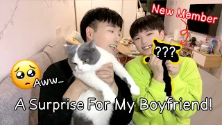 Welcoming A New Member Of Our Family!! Aww... | 歡迎新的家庭成員：糰子！[Gay Couple Lucas&Kibo BL]