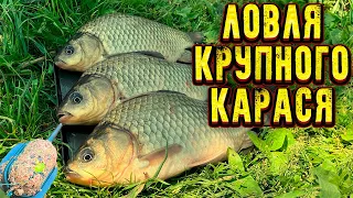 ЛОВЛЯ КРУПНОГО КАРАСЯ | Рыбалка на карася на ФЛЭТ метод |бешенный клёв карася