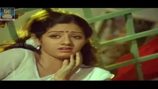 Ninaithale Inikkum - Kalyanaraman Movie Songs HD | Kamalhassan | Sridevi | Ilayaraja