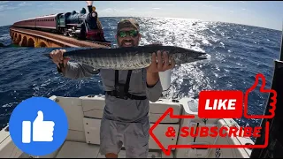 Wahoo Trolling Trainwreck / Catch, Clean and Cook!
