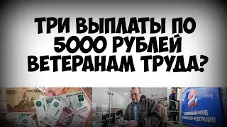Кто из ветеранов труда получит сразу три выплаты по 5 тысяч рублей в 2019 году