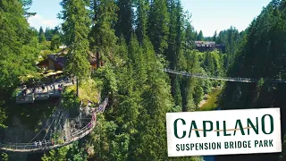 Explore Capilano Suspension Bridge Park