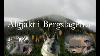 Älgjakt i Bergslagen del 3.  Moosehunt in Bergslagen Sweden part 3