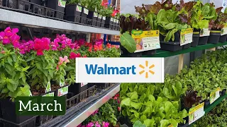 Spring In The Air: Walmart's March Garden Center Tour!