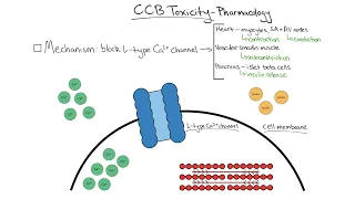 Tox Talk: Calcium Channel Blocker Toxicity