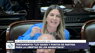 Diputada Lospennato, Silvia - PRO - Sesión 29-04-2024