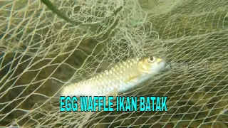 EGG WAFFLE IKAN BATAK | JEJAK SI GUNDUL (23/03/23)