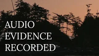 BIGFOOT AUDIO RECORDED | A New Encounter on Ape Island | MBM 127