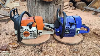 Stihl ms361 vs Holzfforma g366 Blue Thunder